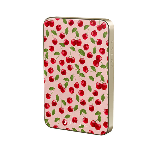 BA_04MS_MagPbank5K-GO