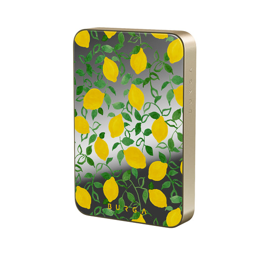 CM_15MS_HALO-MagPbank10K-GO