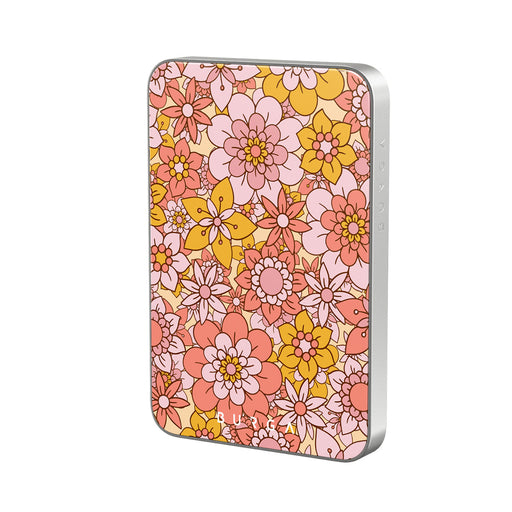 DV_01MS_MagPbank5K-SI