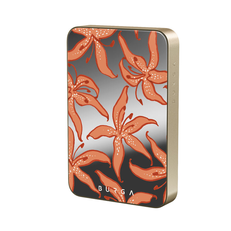 JL_02MS_HALO-MagPbank10K-GO