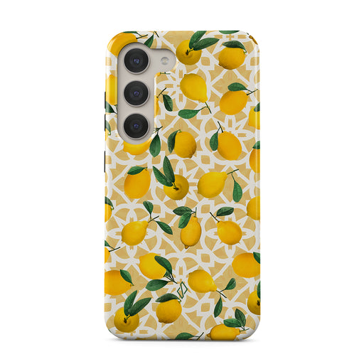 LL_01_S23PL_TH-magnetic